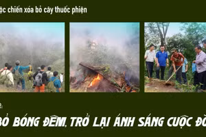 Cuộc chiến xóa bỏ cây thuốc phiện. Kỳ 2: Bỏ bóng đêm, trở lại ánh sáng cuộc đời