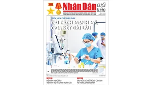 Cải cách mạnh mẽ, cam kết dài lâu