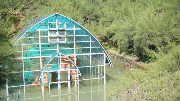 Tháp Chăm Phú Diên đã bị bị ngập nước kéo dài.