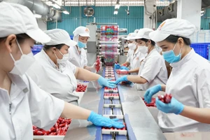 Người lao động tại Công ty Vissan. (Ảnh nhandan.vn)