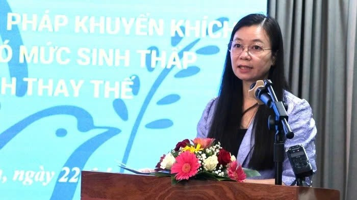 Phó Chủ tịch Hội Liên hiệp Phụ nữ Việt Nam Nguyễn Thị Thu Hiền phát biểu tại hội thảo. z7145060976858-70c78d55218fc26ad679ddc1e09bee37-5527.jpg