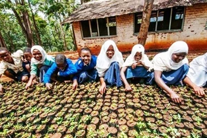 Phụ nữ tại Kono hiện kiếm thêm thu nhập bằng canh tác. Ảnh: UNITED NATIONS