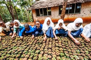 Phụ nữ tại Kono hiện kiếm thêm thu nhập bằng canh tác. Ảnh: UNITED NATIONS