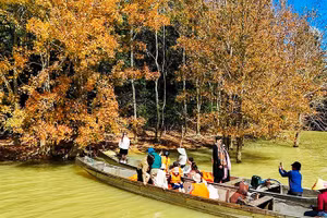 Mùa lá phong hương giữa đại ngàn