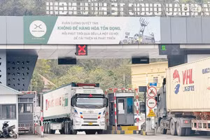 Xe container ra vào khu vực làm thủ tục của một doanh nghiệp logistics tại Cửa khẩu quốc tế Hữu Nghị (Lạng Sơn).