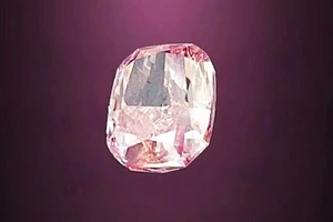 UAE thu hồi kim cương trị giá 25 triệu USD