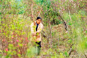 Xuân bãi bồi. Ảnh: NAM NGUYỄN