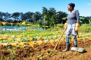 Latouche canh tác trên trang trại, Ảnh: THE GUARDIAN