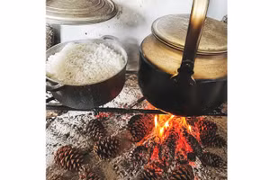 Củi thông đun bếp.