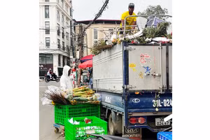 Lao động nước ngoài thường làm các công việc bốc vác, kéo xe, dọn dẹp... tại chợ hoa Quảng An.