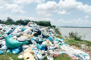 Rác thải hiện đang chất thành đống với khối lượng gần 2.200 tấn trên địa bàn các xã Duy Xuyên, Nam Phước, Duy Nghĩa và Thu Bồn.