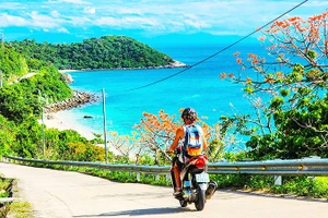 Mùa ngô đồng đỏ ở Cù Lao Chàm