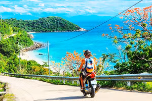 Mùa ngô đồng đỏ ở Cù Lao Chàm