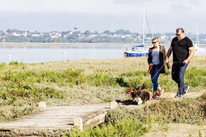 Du lịch cùng thú cưng lên ngôi tại Pháp