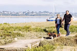 Du lịch cùng thú cưng lên ngôi tại Pháp