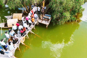 Tìm ký ức xưa giữa rừng tràm