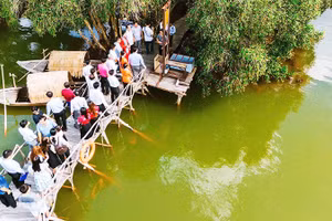 Tìm ký ức xưa giữa rừng tràm