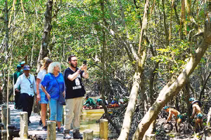 Ngành du lịch đang tìm giải pháp thích ứng với tình hình mới. Ảnh: THẾ ANH