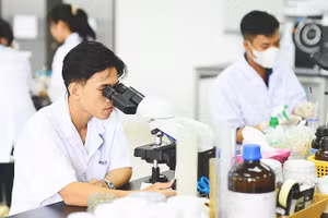 JICA hỗ trợ Trường đại học Cần Thơ xây dựng Phòng nghiên cứu và phòng thí nghiệm công nghệ cao. Ảnh: JICA