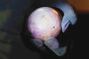 Viên sapphire tím ánh sao lớn nhất