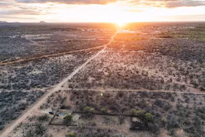 Sa mạc hóa đe dọa vùng Caatinga ở phía đông Brazil. Ảnh: IAN CHEIBUB