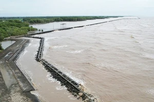 Công trình kè chắn sóng chống sạt lở ở Hòn Đá Bạc (Cà Mau).