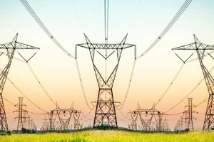 Lưới điện thông minh sử dụng IoT tại Ấn Độ. Ảnh: AP