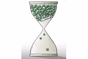 Biếm họa: RODRIGO MINEU