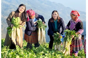 Hợp tác xã Hạnh Mơi là điểm sáng liên kết nông nghiệp của xã.