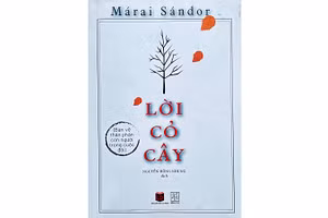 Nhặt từ sách