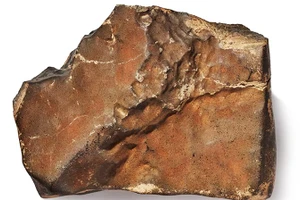 Đấu giá thiên thạch sao Hỏa