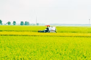 Nhiều diện tích đất nông nghiệp phía nam Hà Nội sẽ được bàn giao cho các dự án, đặt ra yêu cầu cấp thiết về chuyển đổi nghề nghiệp cho người dân.