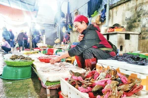 Hải sản tươi ngon tại chợ Gú. Ảnh: LƯƠNG HÀ