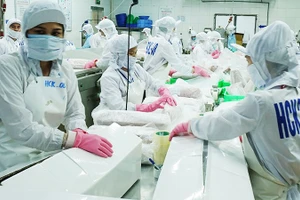 Đóng gói cá ngừ xuất khẩu tại Công ty cổ phần thủy sản Bình Định. Ảnh: Nam Anh