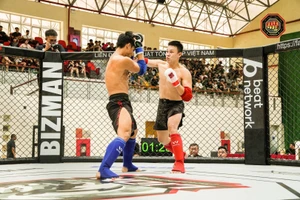 MMA liên tiếp được lựa chọn vào chương trình thi đấu chính thức tại các kỳ đại hội thể thao trong nước và châu lục.