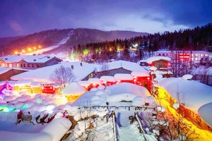 Giấc mơ tuyết trắng Cáp Nhĩ Tân