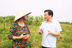 Bí thư Đảng ủy phường Hồng Hà Bùi Tuấn Anh (bên phải) gặp người dân giải thích về chính sách đền bù, giải phóng mặt bằng tại cơ sở.