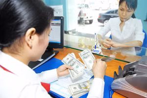 Tỷ giá cần được điều hành mềm dẻo để hạn chế biến động quá mạnh, giảm áp lực chi phí nhập khẩu và tâm lý thị trường. Ảnh: BẮC SƠN