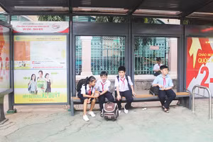 Thành phố Hồ Chí Minh nâng cấp điểm dừng xe bus