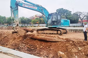 Cọc gỗ bị đưa lên khỏi lòng sông Vân (khu vực gần cầu Chà Là).
