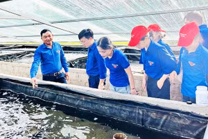 Anh Phước (ngoài cùng bên trái) giới thiệu mô hình nuôi thủy hải sản của HTX Ngư Nam cho đoàn viên, thanh niên.