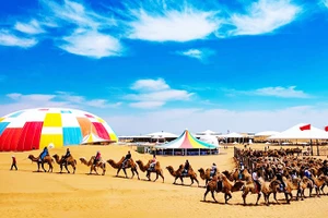 Bản hòa ca của gió và cát