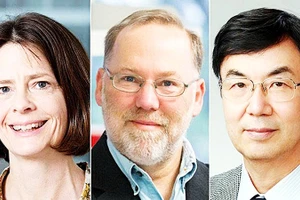 Các nhà khoa học đoạt Giải Nobel Y sinh 2025. Ảnh: GETTY IMAGES