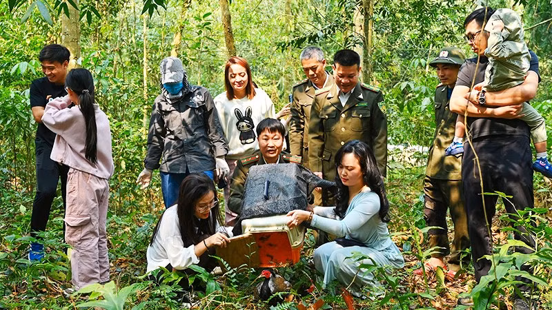 Đưa thú hoang “về nhà”