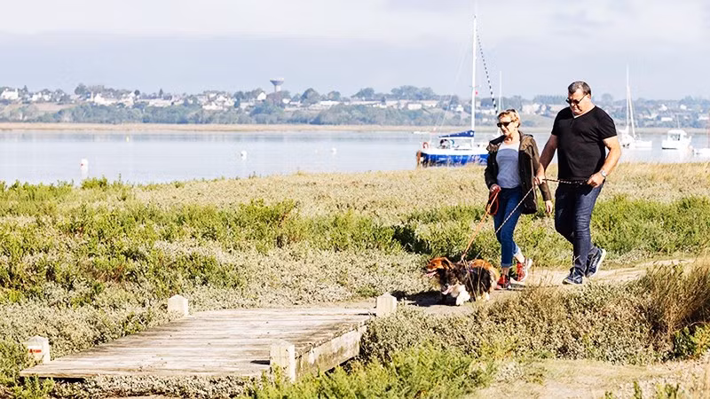 Du lịch cùng thú cưng lên ngôi tại Pháp