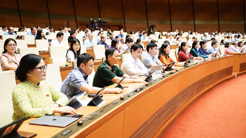 Lập Hội đồng Bầu cử quốc gia
