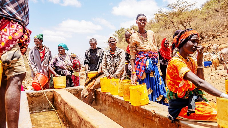 Hạn hán đe dọa bùng phát dịch bệnh ở Kenya.Ảnh: BLOOMBERG 152.jpg