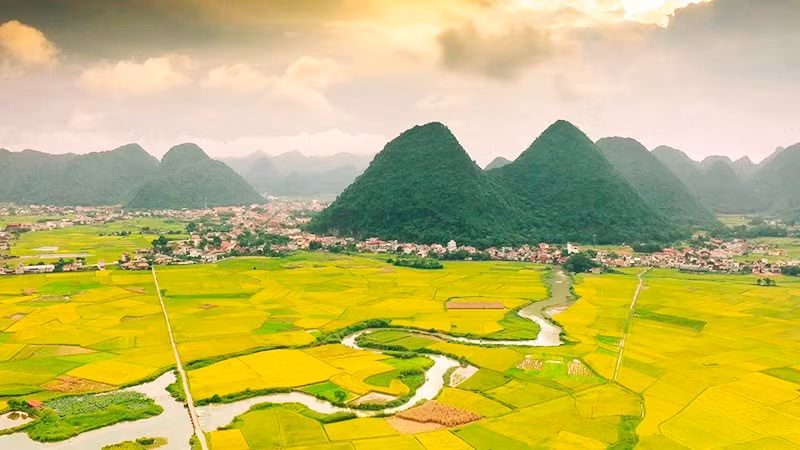 Ngắm mùa vàng giữa non xanh