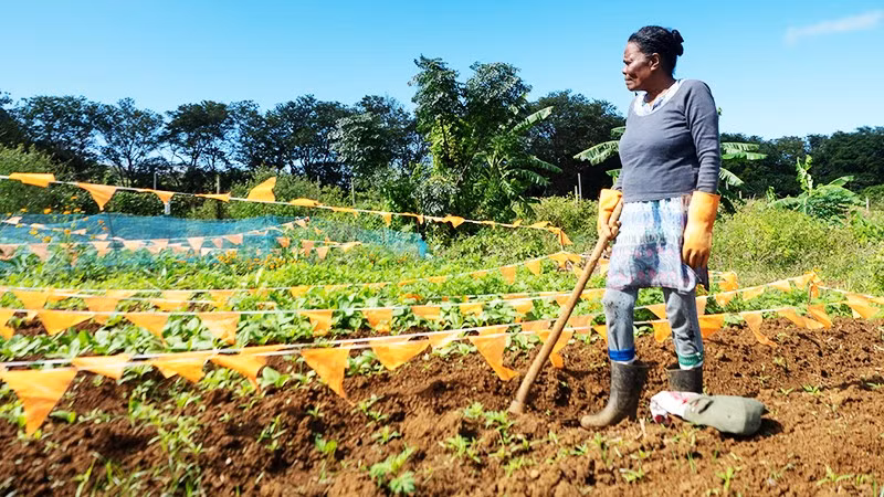 Latouche canh tác trên trang trại, Ảnh: THE GUARDIAN
