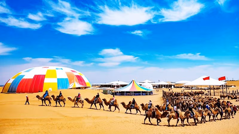 Bản hòa ca của gió và cát